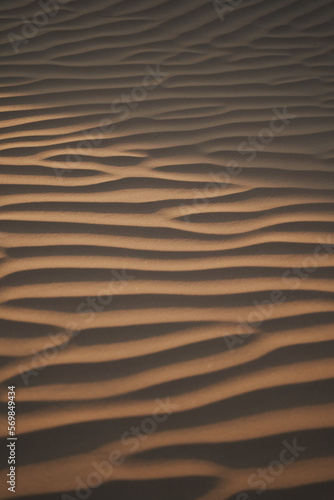Vertical shot with sand pattern and sunlight. © Cavan