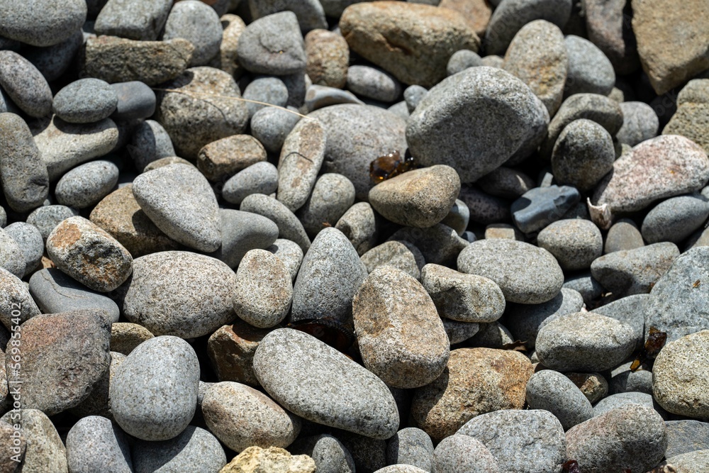 pebbles on a beach in tasmania australia pebbles on a beach in tasmania australia