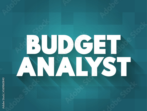 Budget Analyst are responsible for reviewing the organization's budget and approving spending requests, text concept background