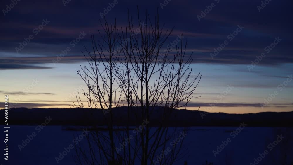 Tree at dusk against the backdrop of a winter sunset. Clouds, horizon and mountains silhouettes. Tree at dusk against the backdrop of a winter sunset. Clouds, horizon and mountains silhouettes.