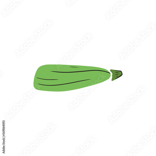 Green zucchini courgette vegetable marrow with black line isolated on white background. Hand drawn vector simple doodle illustration in childrenstyle. Alphabet, healthy, nutrition, diet, cooking.