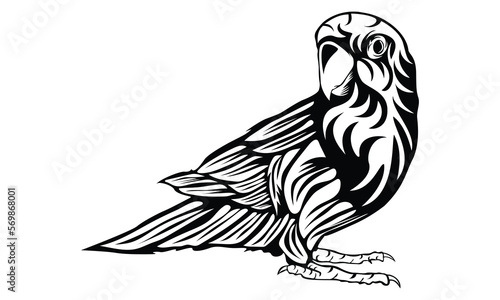 Hand drawn parrot bird vector illustration, of amazon jungle isolated on white background
