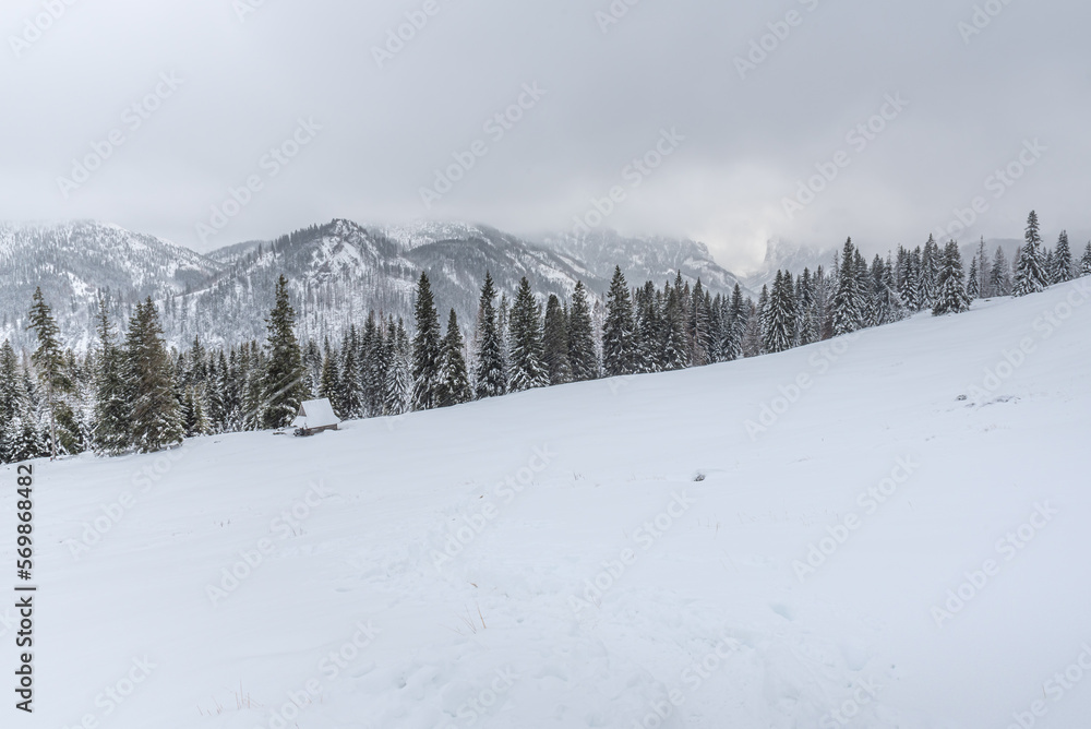 Snowy landscape in a mountain forest Snowy landscape in a mountain forest