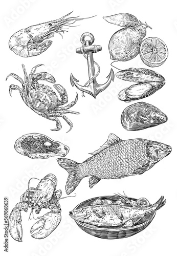 Ilustración blanco y negro a tinta , realista de estilo vintage de marisco, pescados, carnes, hamburguesas y otros alimentos para cartas de restaurantes y material publicitario en restauración. (ID: 569868639)