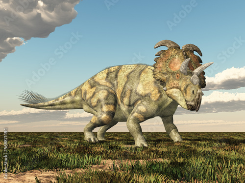 Dinosaurier Albertaceratops © Michael Rosskothen