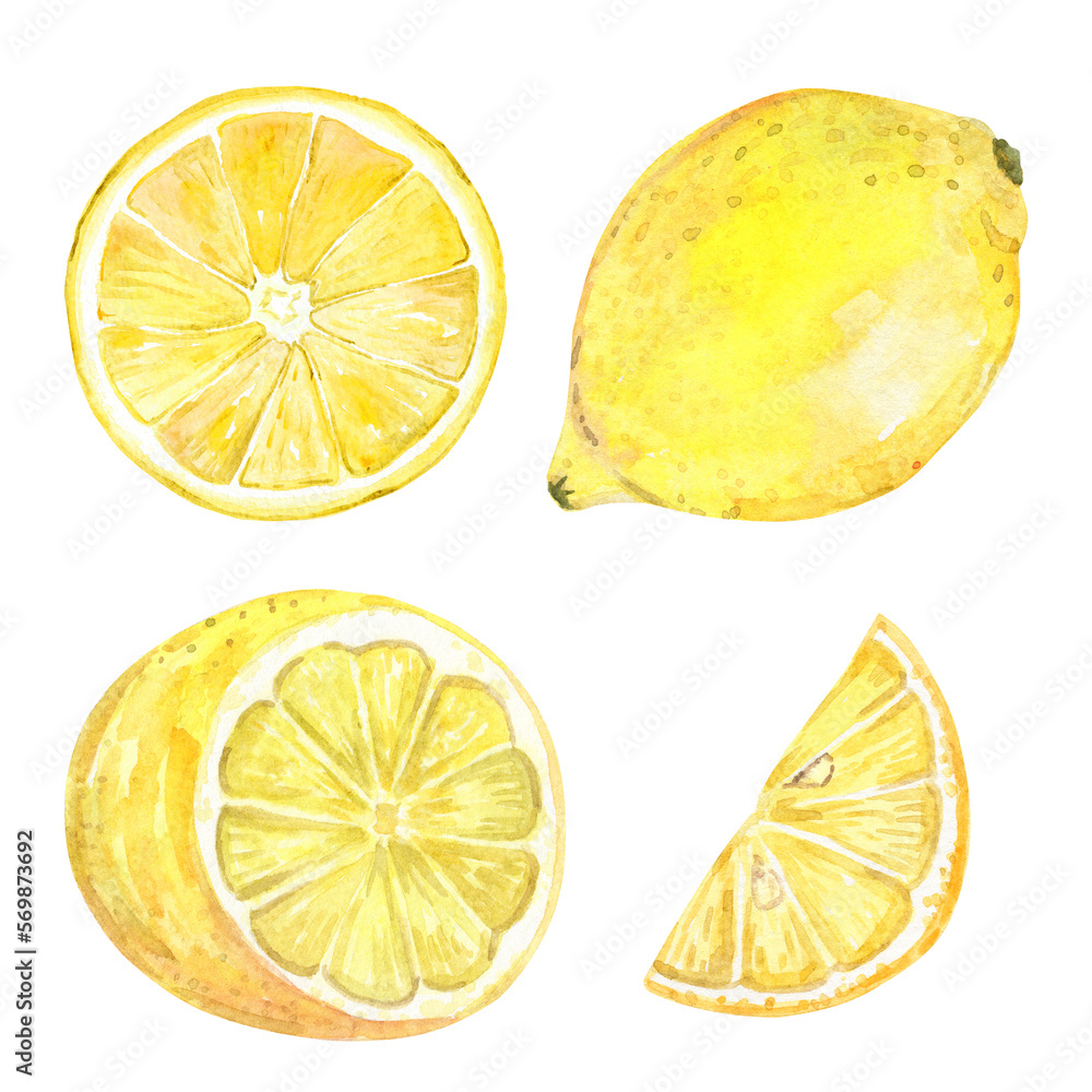 Watercolor lemon slices set isolated on white Watercolor lemon slices set isolated on white