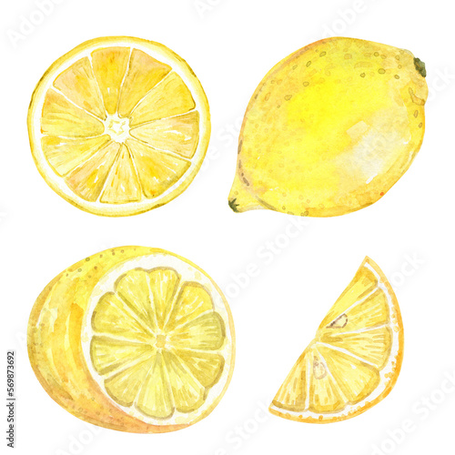 Watercolor lemon slices set isolated on white