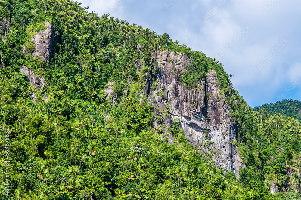 A close up view of a mountain peak in the tropical rainforest in Puerto Rico on a bright sunny day
