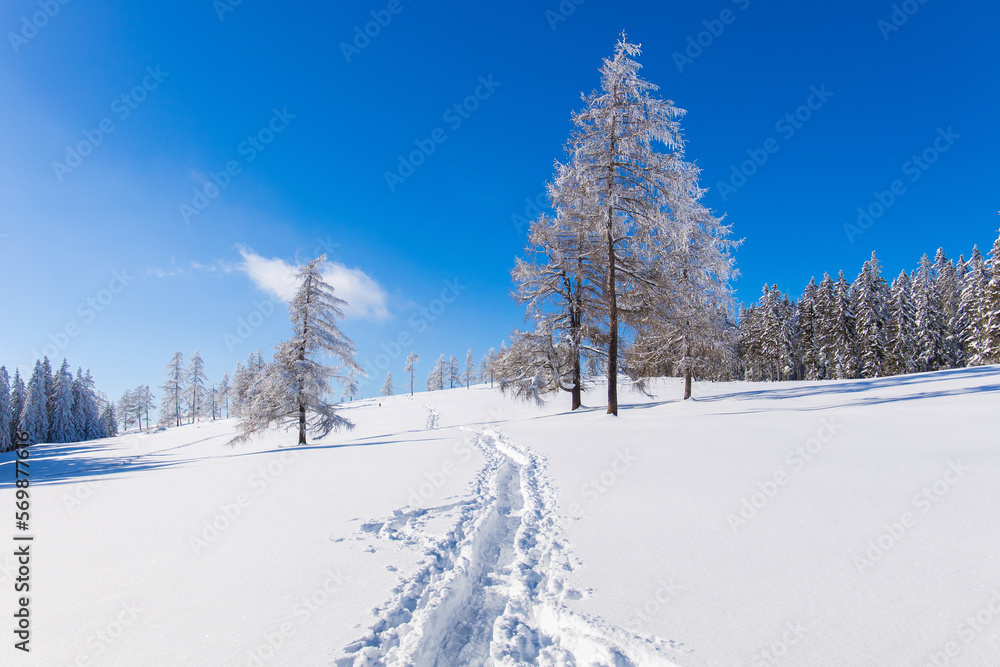 Hiking trail through snowy winter landscape for snow hiking Hiking trail through snowy winter landscape for snow hiking