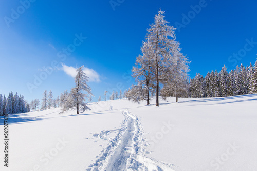 Hiking trail through snowy winter landscape for snow hiking © Photofex