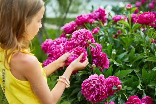 Little girl in the garden in bushes of peonies, child touch the flower
