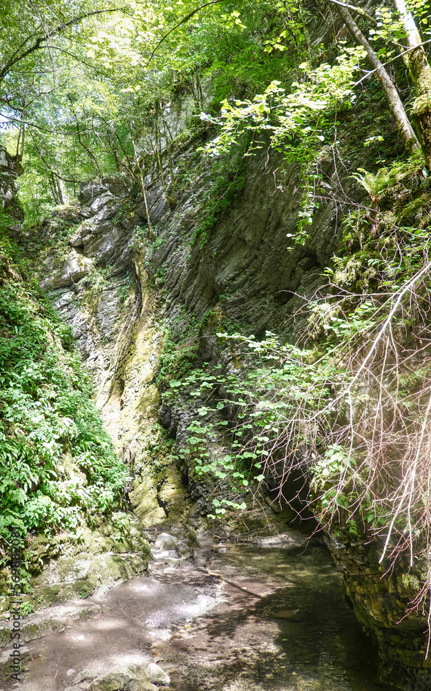 Wanderweg zum Kozijak Wasserfall im Triglav Nationalpark in Slowenien Wanderweg zum Kozijak Wasserfall im Triglav Nationalpark in Slowenien