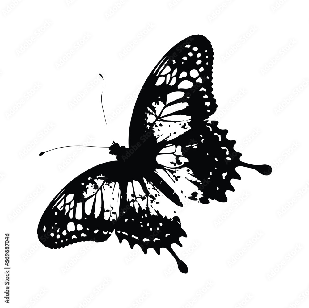 Vector butterfly silhouette isolated white background Stock Vector ...