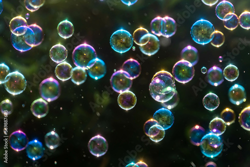 Soap bubbles blown in the backyard
