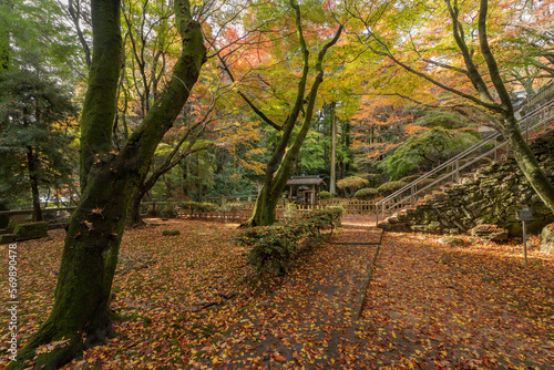 根香寺 photo