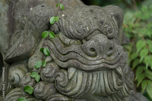 Photos 田村神社