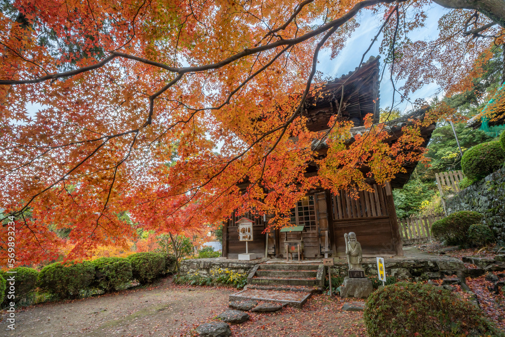 白峯寺