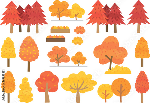 紅葉する木々　いろいろな形の木々　秋