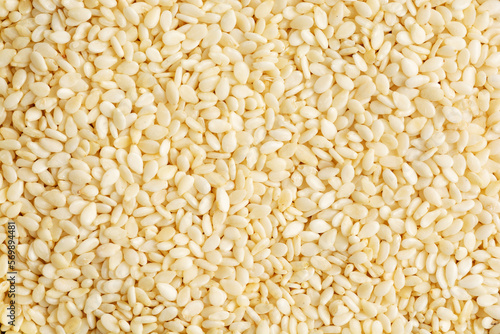 Closeup of lots of white sesame seeds. Sesame seeds background.