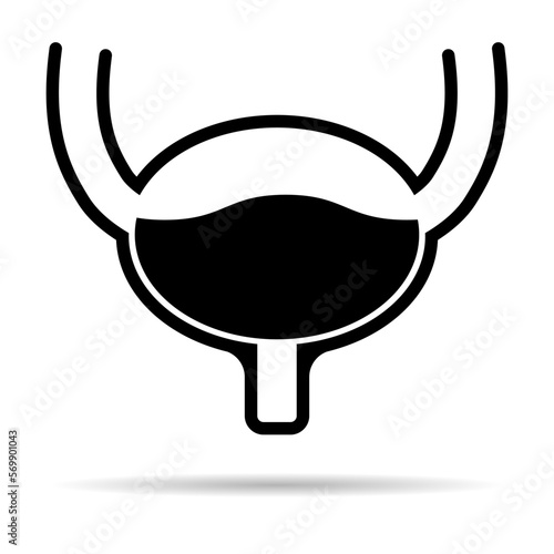 Urology health human icon shadow, anatomy medical body bladder sign, biology vector illustration