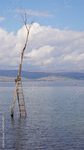 A ladder and a tree on a shore north of Tiberias at the lowest freshwater lake on Earth Sea of Galilee in Tiberias in Israel in the month of February