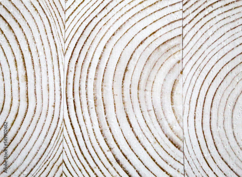 Wooden stump texture