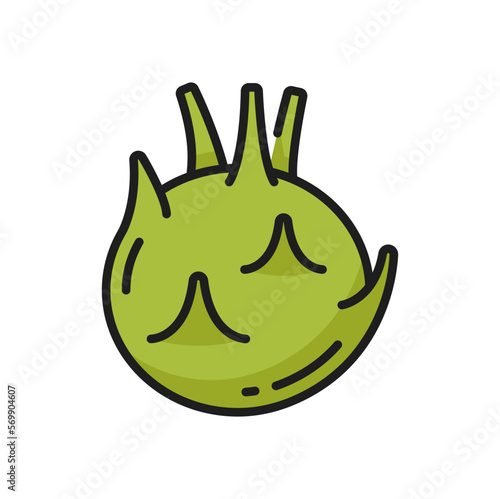 Cabbage turnip isolated Kohlrabi vegetable icon