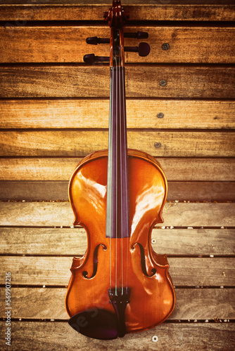 classical violin © Visualmind