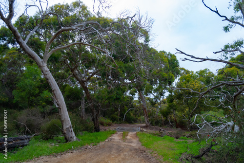 Voyage en Australie - kangaroo island - Australia