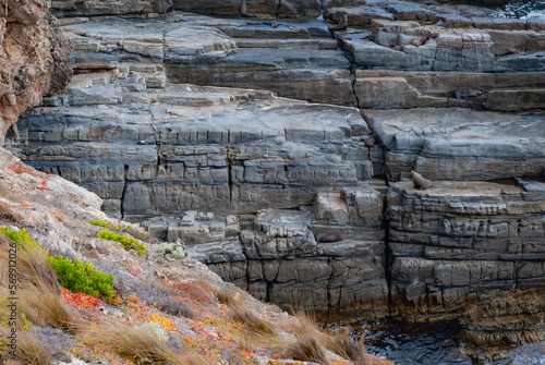 Voyage en Australie - kangaroo island - Australia
