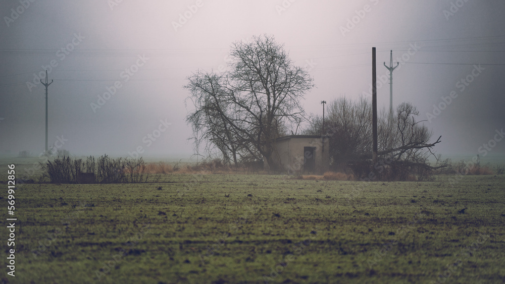 Small house in the field with trees Small house in the field with trees