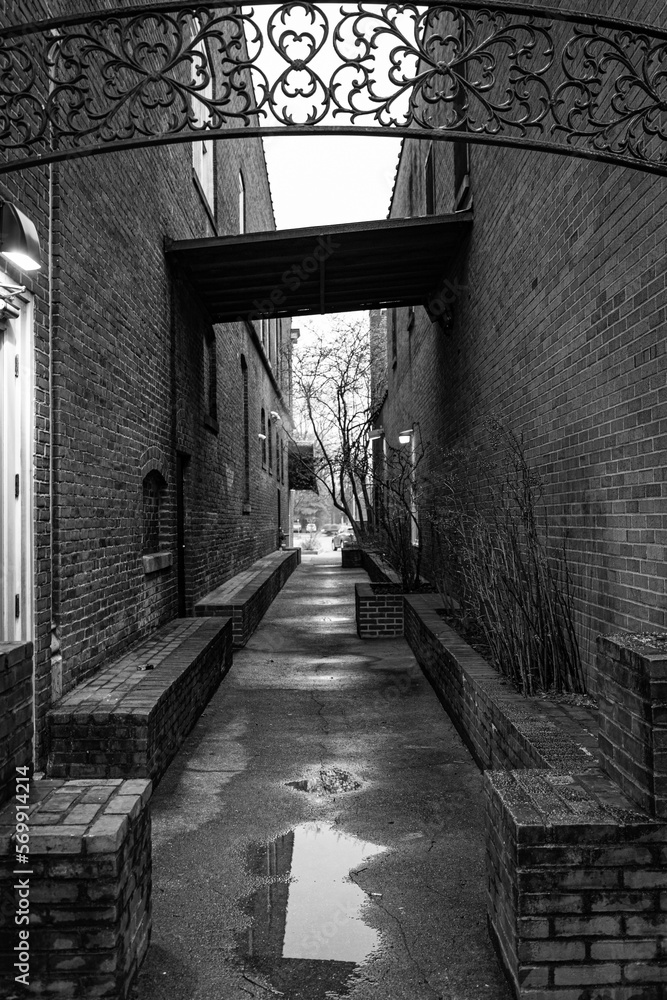 Narrow walkway between two old buildings in downtown Bardstown, Kentucky in black and white