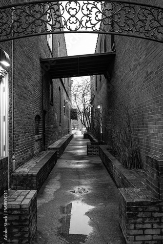 Narrow walkway between two old buildings in downtown Bardstown, Kentucky in black and white photo