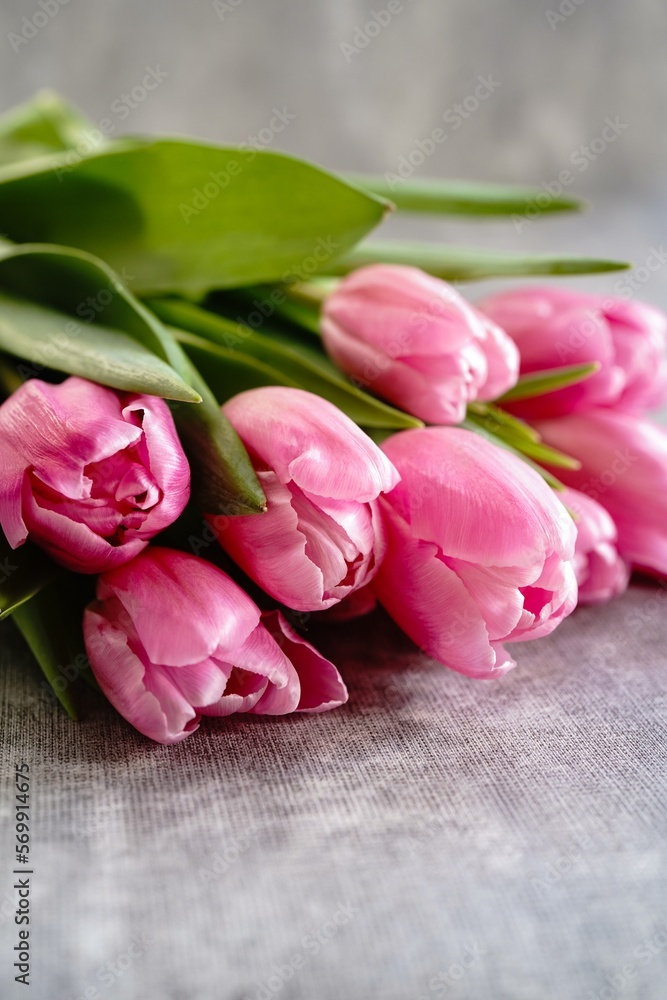 Pink tulips with copy space| Spring flowers background, selective focus Pink tulips with copy space| Spring flowers background, selective focus
