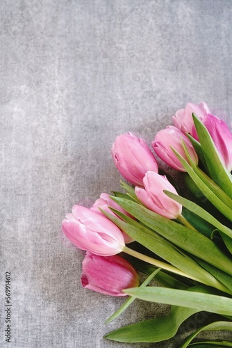 Pink tulips with copy space| Spring flowers background, selective focus
