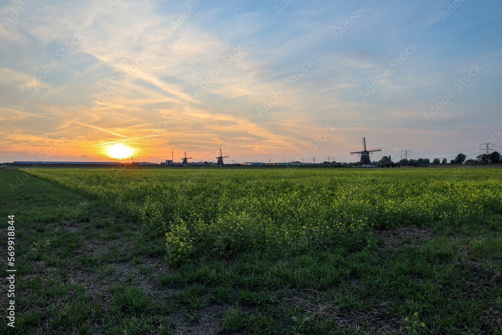 Sunset over the meadows of the Tweemanspolder in Zevenhuizen Sunset over the meadows of the Tweemanspolder in Zevenhuizen
