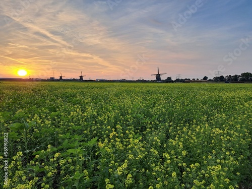 Sunset over the meadows of the Tweemanspolder in Zevenhuizen