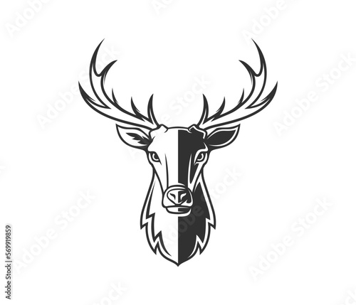 Deer head vector image