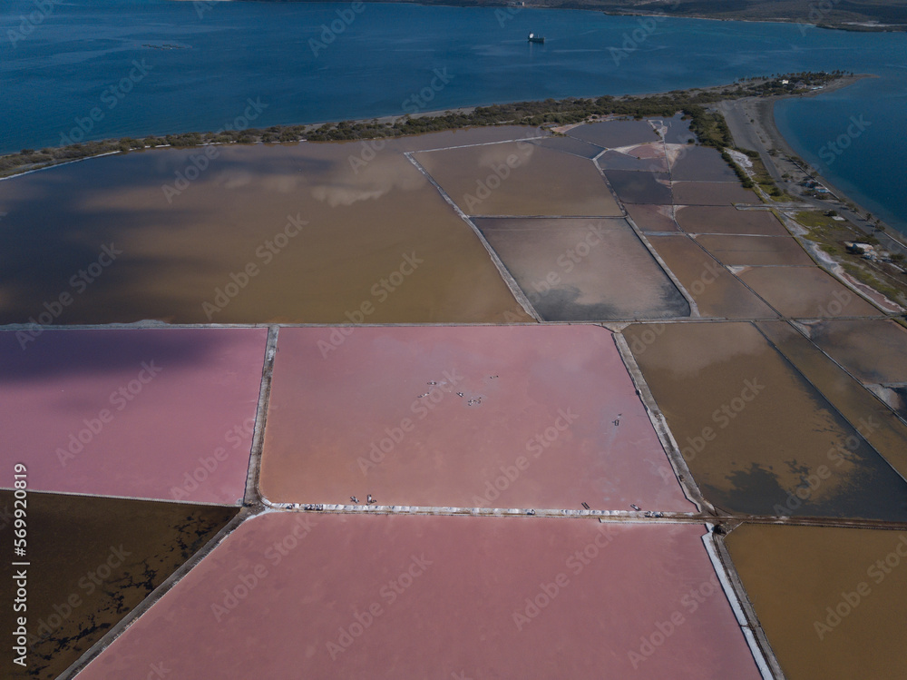 Obraz premium Pink lakes Salinas in the Dominican Republic birds view