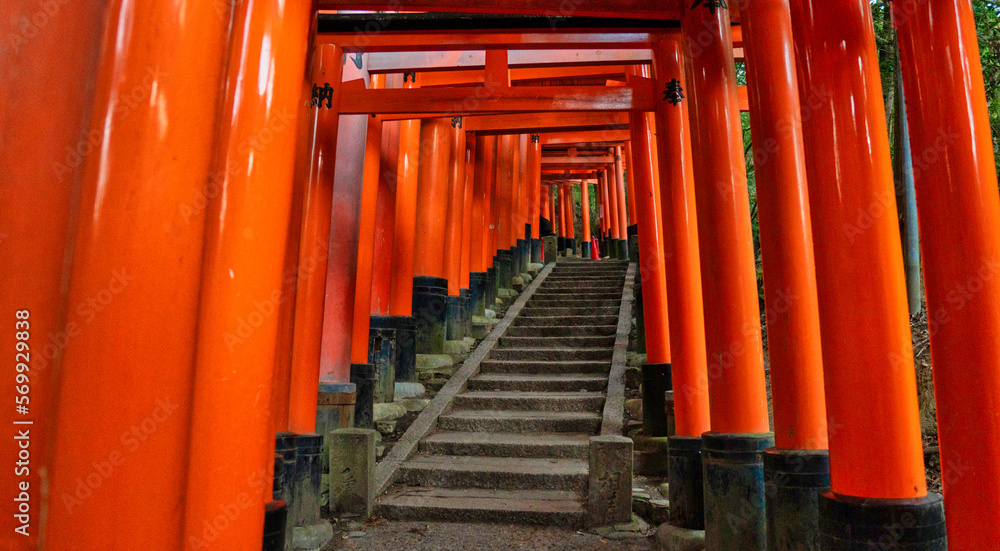 京都の伏見稲荷大社の鳥居の風景 京都の伏見稲荷大社の鳥居の風景