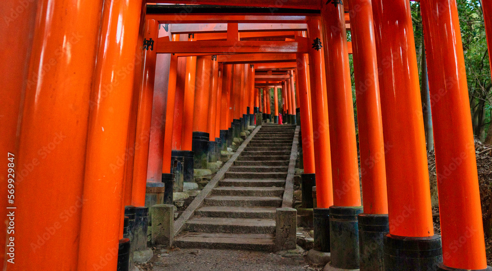 京都の伏見稲荷大社の鳥居の風景 京都の伏見稲荷大社の鳥居の風景