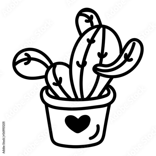 Cactus Pot 