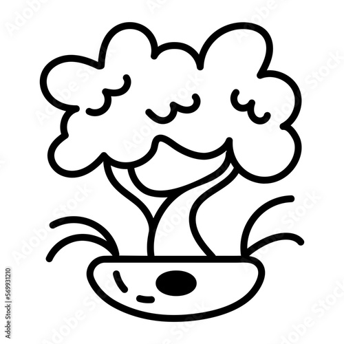 Bonsai Tree 