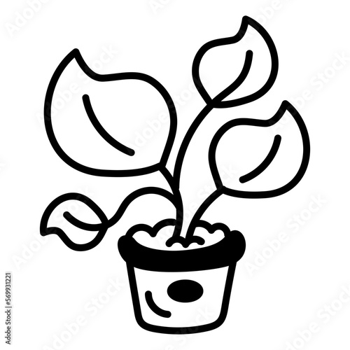 Houseplant 