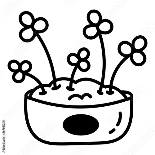 Flower Houseplant 