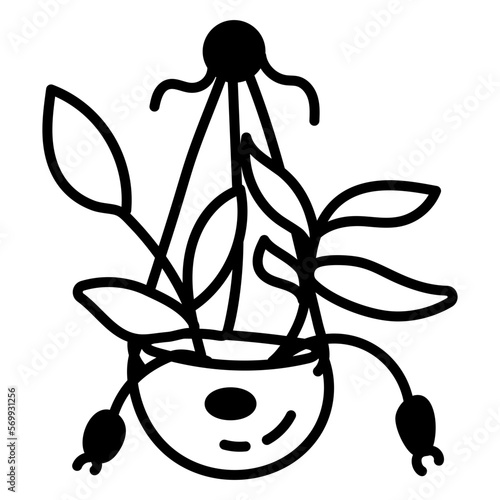 Wall Plant 