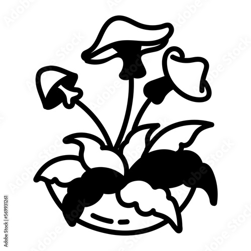 Mushroom Plant 