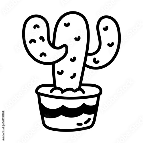 Cactus 