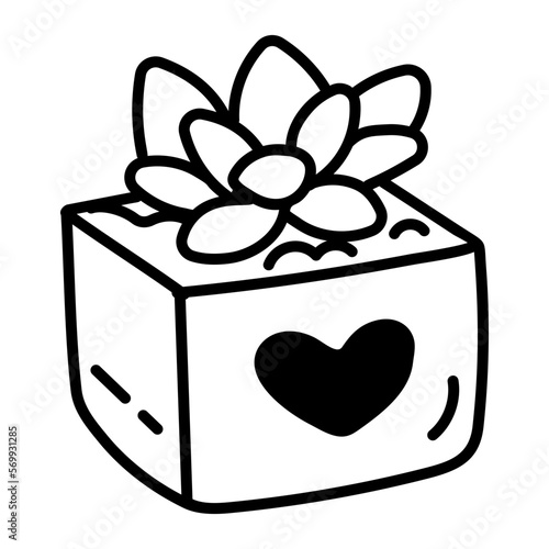 Succulent Plant 