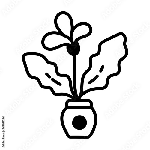 Indoor Plant 